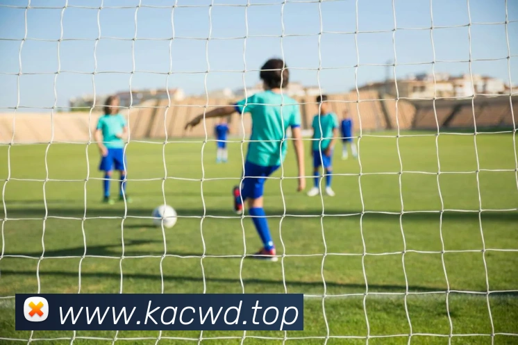 问鼎28服务体系